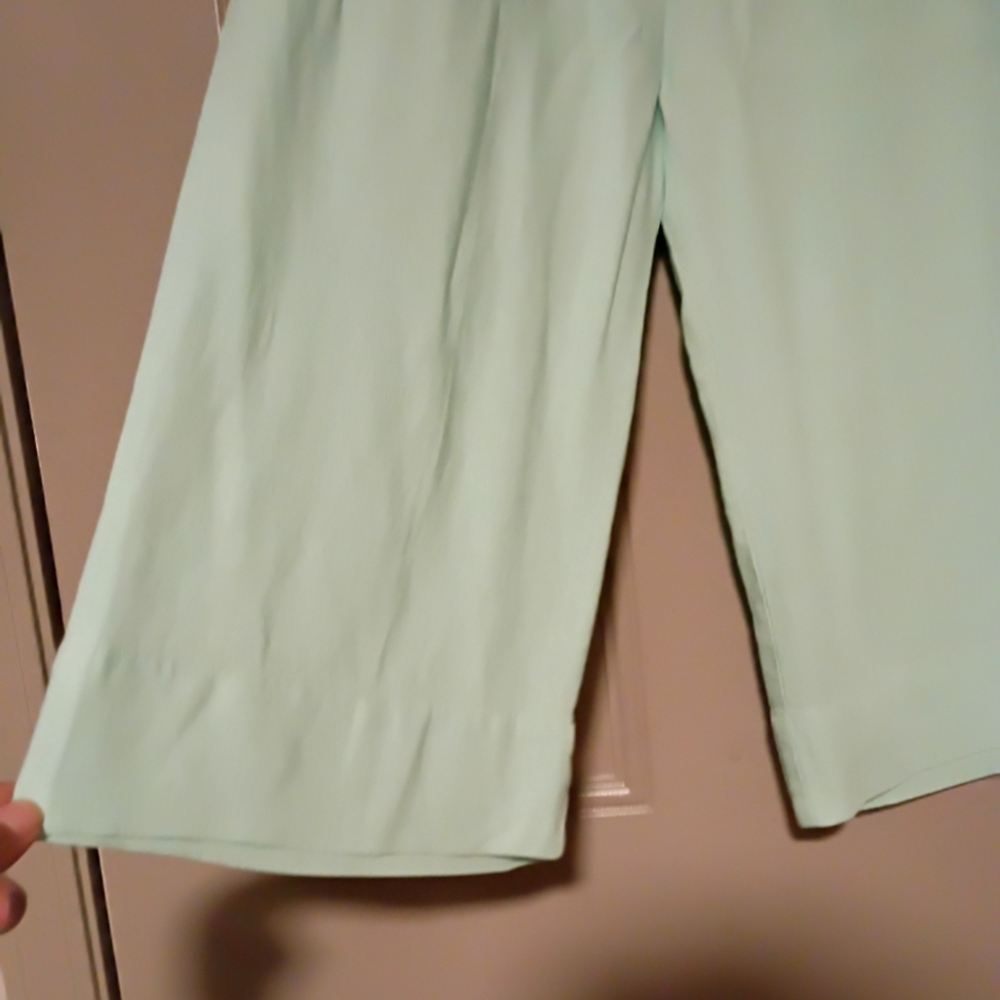 Ruby Rd. Light Green Pants - Picture 5 of 16